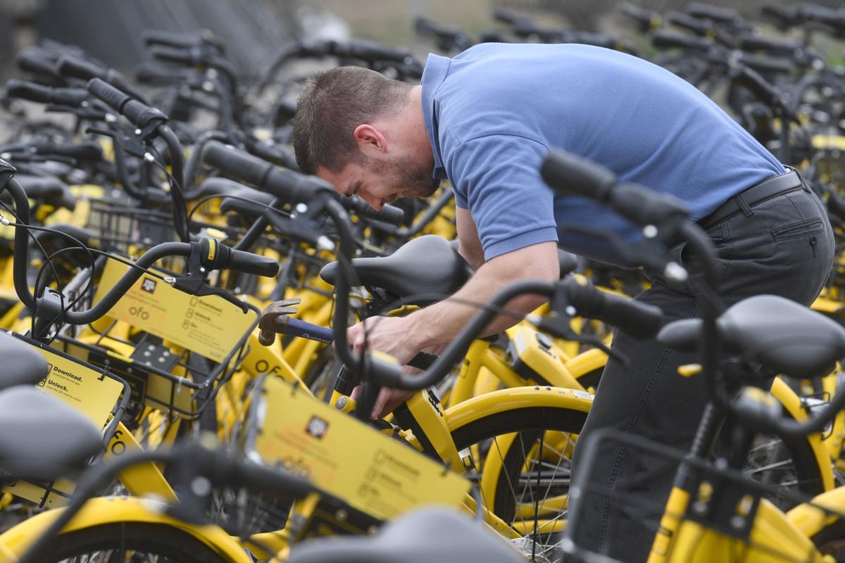 Ofo bikes being disassembled